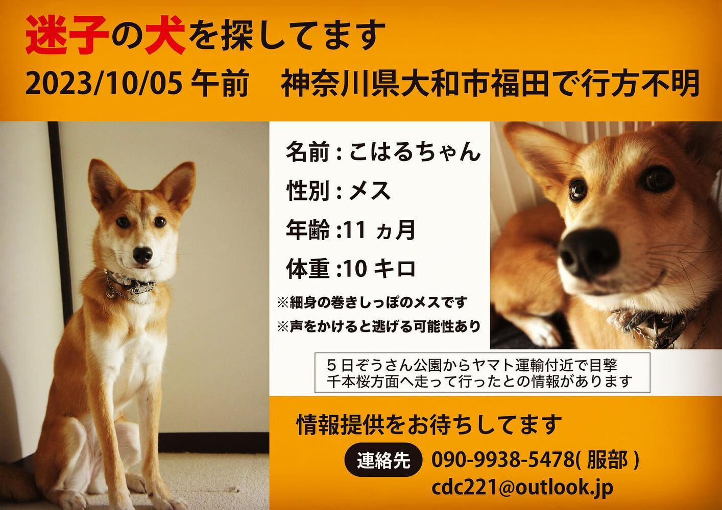 ブログ